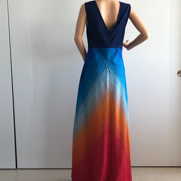 Ombre Gown - Picture 12 of 16